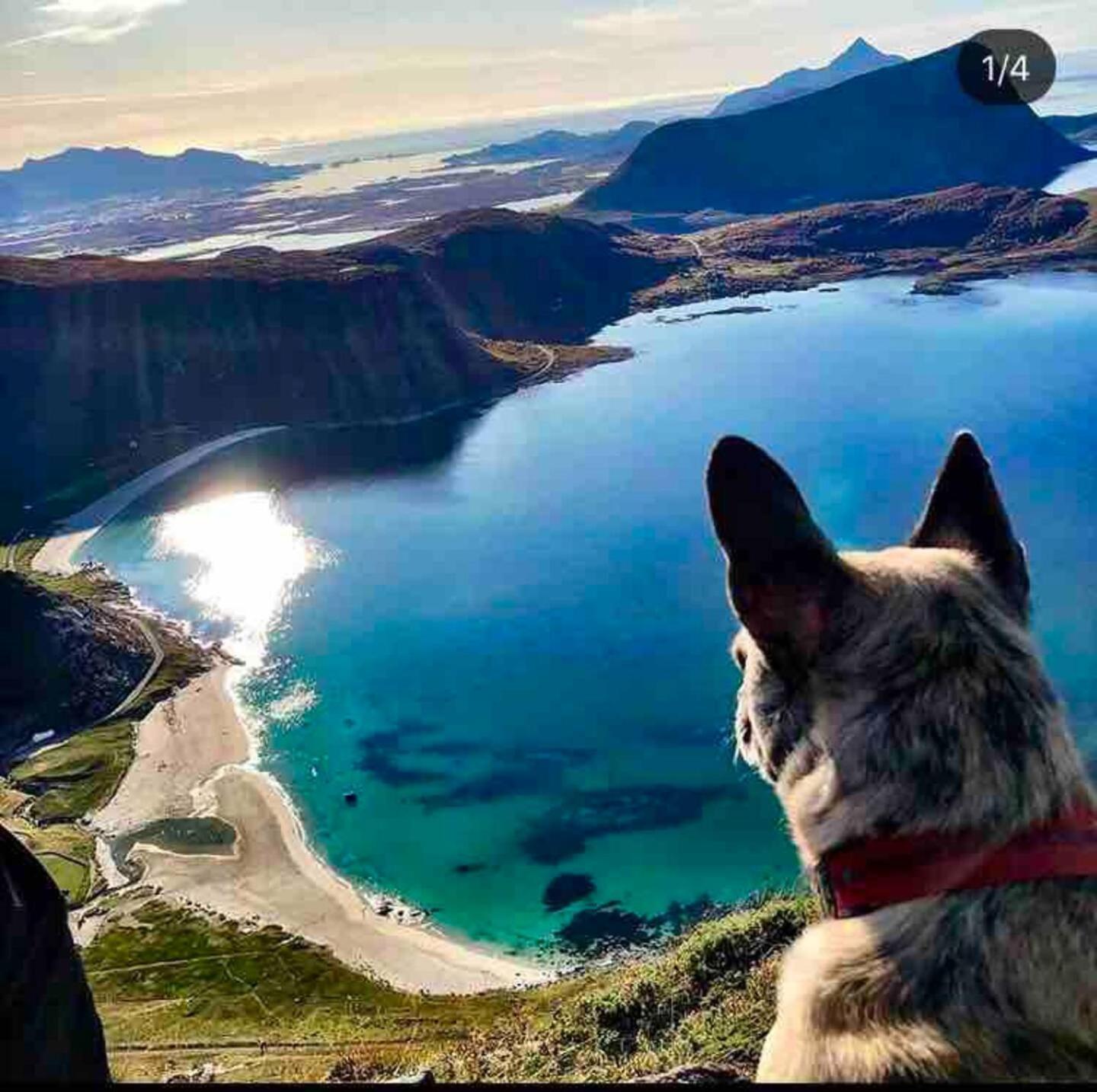 Lofoten Seaview 巴尔斯塔 外观 照片