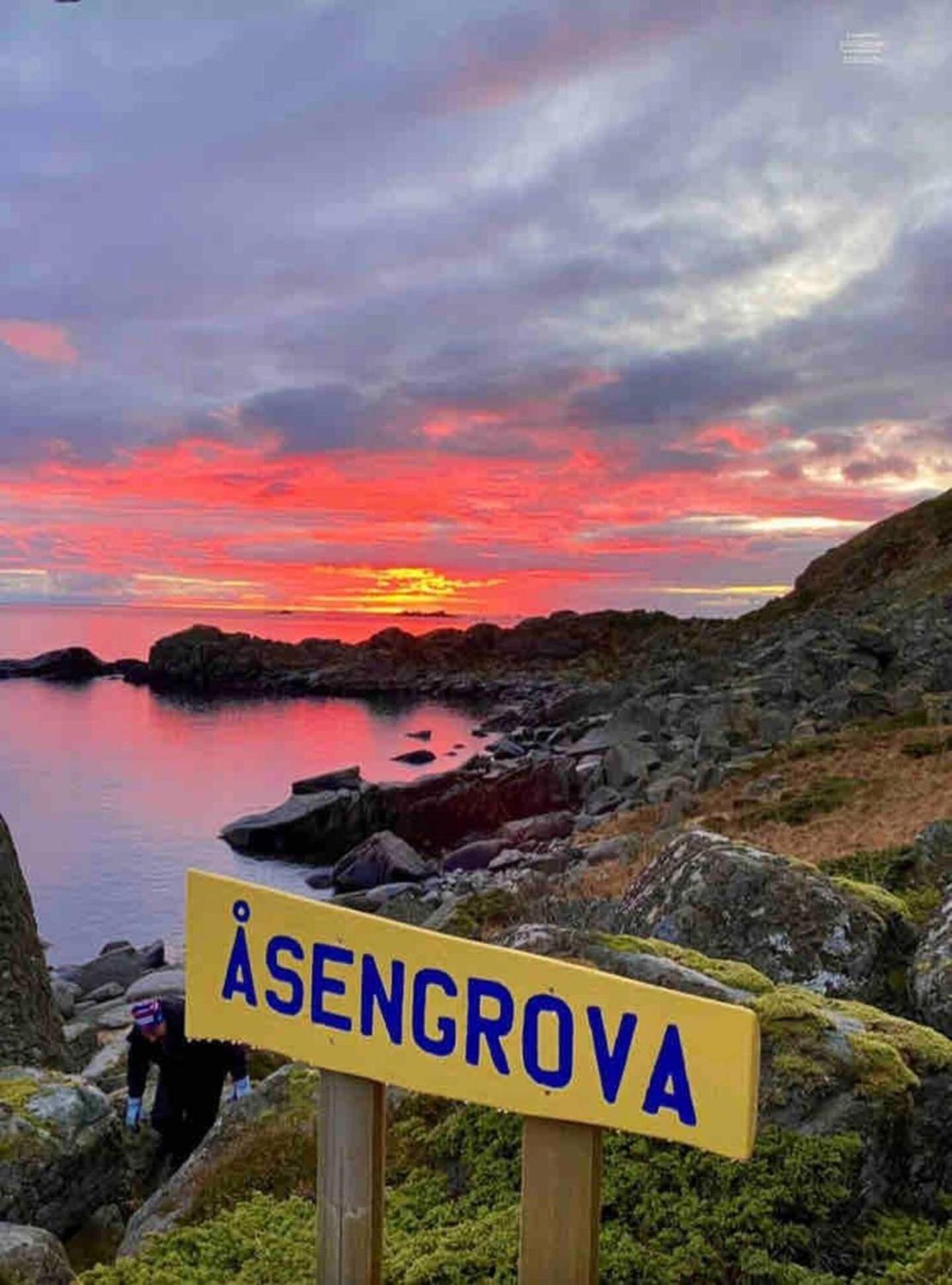 Lofoten Seaview 巴尔斯塔 外观 照片